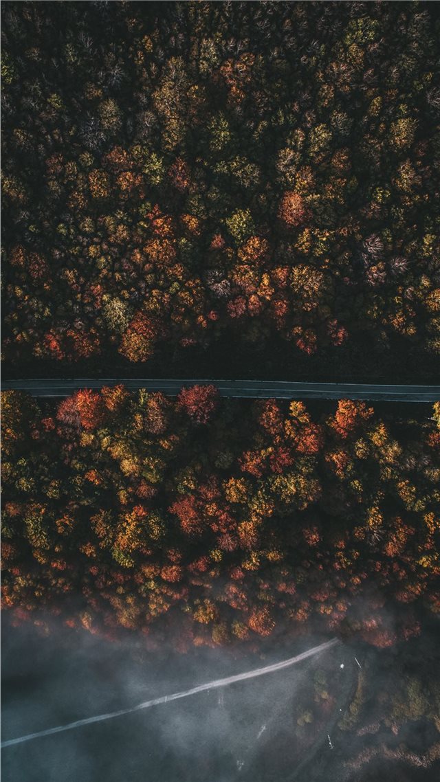 1080x1920 aerial photography of roadway and trees - green iPhone 8 Wallpaper