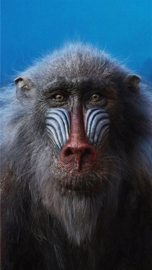 1080x1920 john kani as rafiki the lion king 2019 4k - lion iPhone 8 Wallpaper
