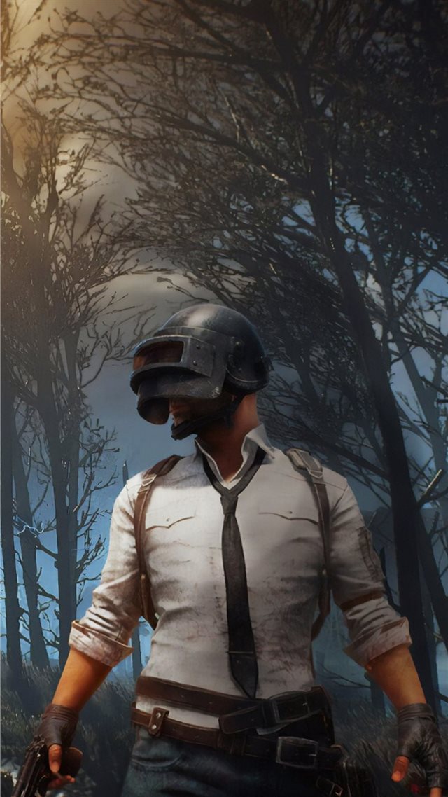 1080x1920 pubg 2019 new 4k - playerunknowns battlegrounds iPhone 8 Wallpaper