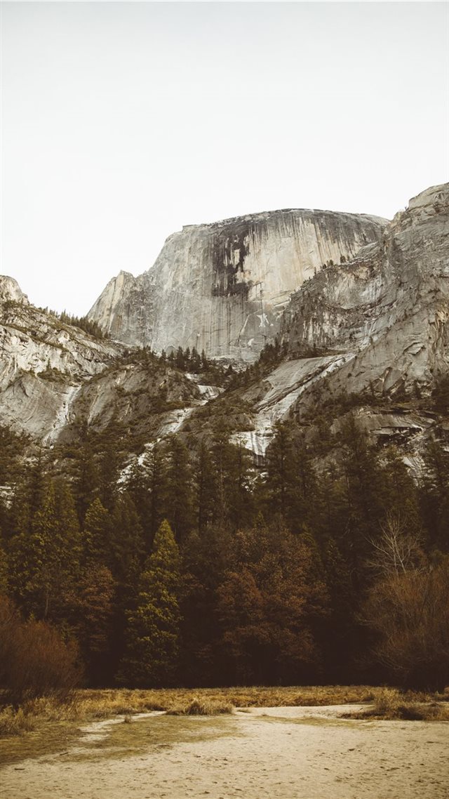 1080x1920 pine trees beside mountain - mountain iPhone 8 Wallpaper