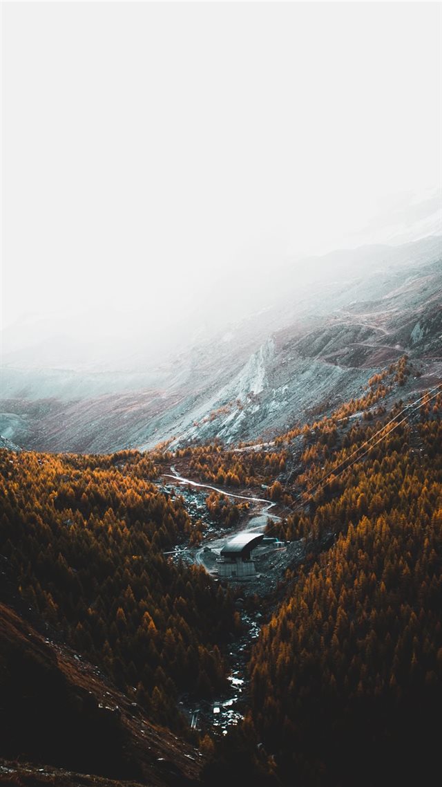 1080x1920 aerial photography of brown trees and mountains un... - fall iPhone 8 Wallpaper