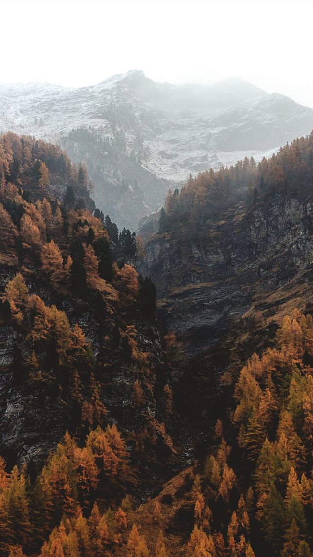 1080x1920 aerial view of brown fores and black mountains - rein in taufers iPhone 8 Wallpaper