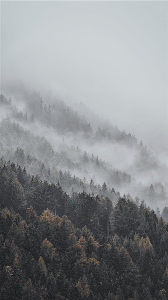 1080x1920 aerial photography of forest covered with snow dur... - art iPhone 8 Wallpaper