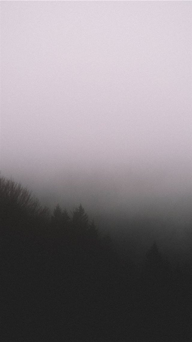 1080x1920 silhouette of trees with fog - france iPhone 8 Wallpaper
