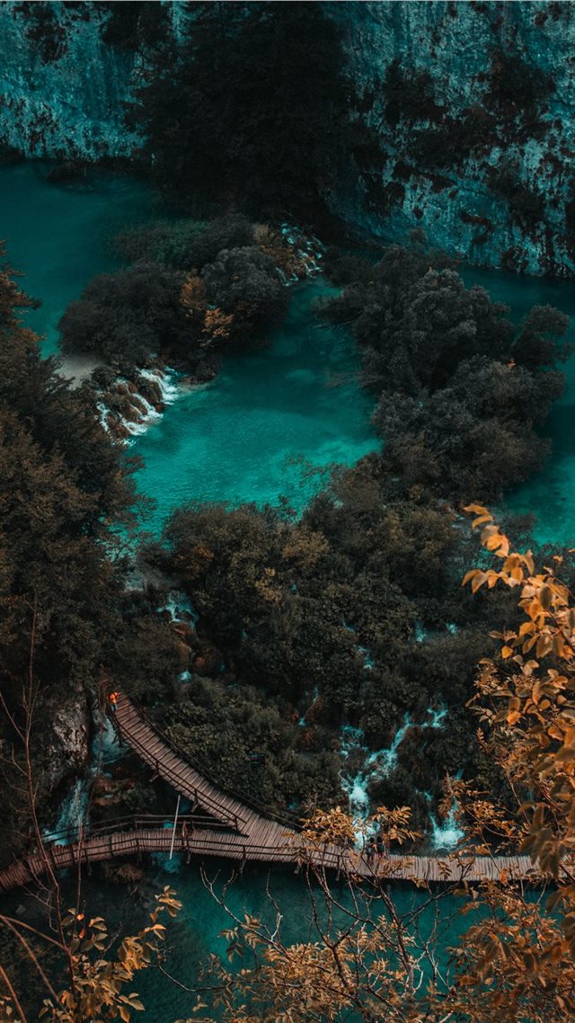 1080x1920 green trees near wooden bridge during daytime - water iPhone 8 Wallpaper