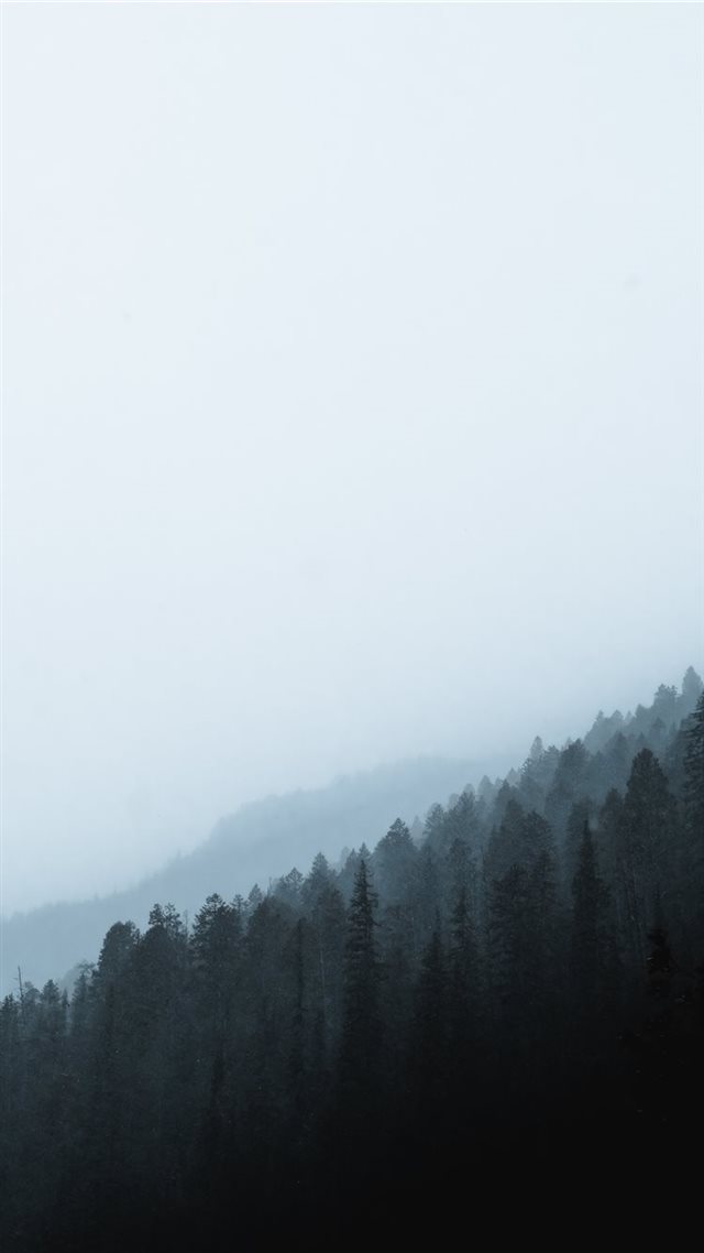1080x1920 green pines - tree iPhone 8 Wallpaper