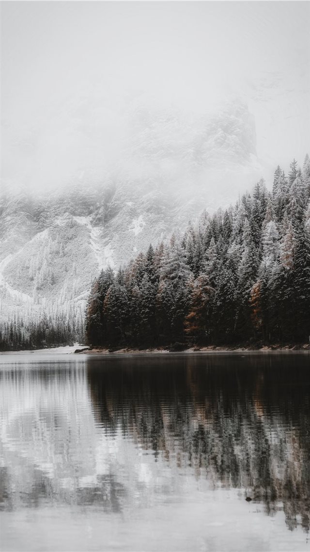 1080x1920 body of water during daytime - tree iPhone 8 Wallpaper