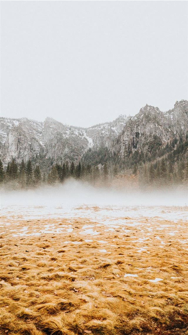 1080x1920 brown field -  iPhone 8 Wallpaper