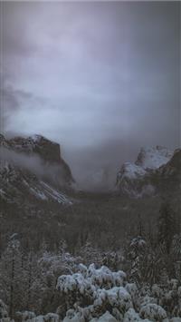 green trees covered by snow near mountain wallpaper