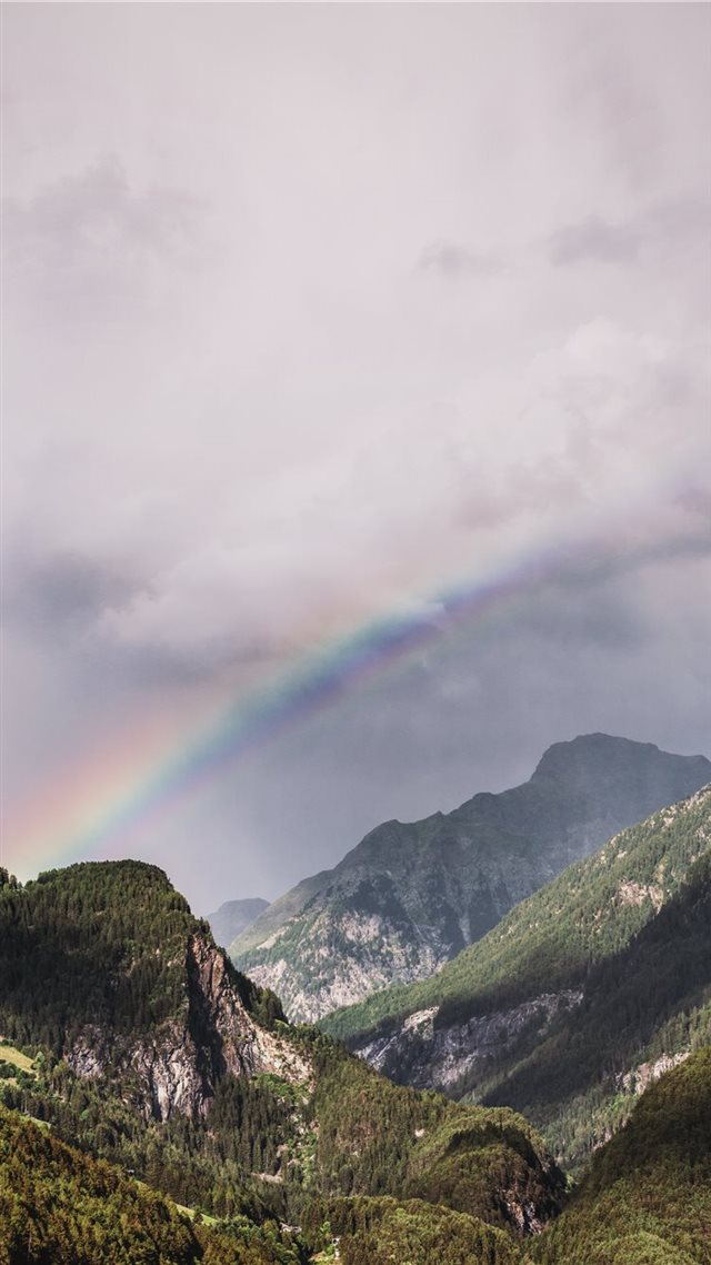 1080x1920 green trees - italy iPhone 8 Wallpaper