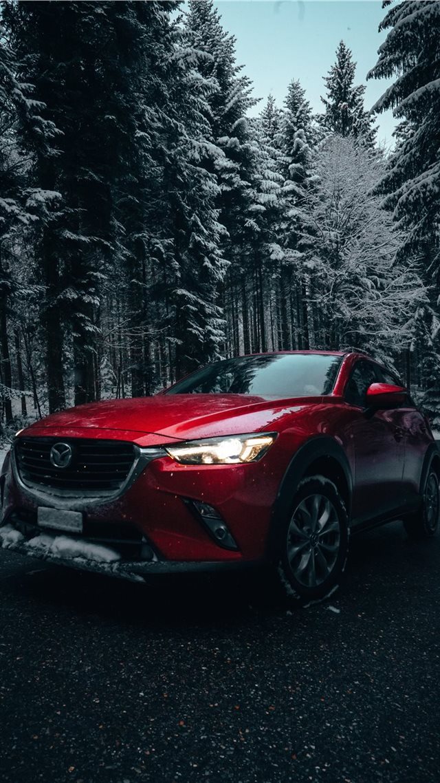 1080x1920 red vehicle near pine trees during daytime - winter iPhone 8 Wallpaper