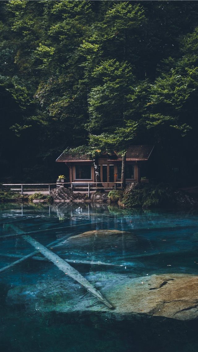1080x1920 brown wooden house behind green tree - water iPhone 8 Wallpaper