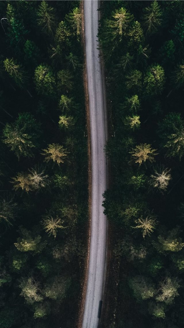 1080x1920 aerial photography of road - forest iPhone 8 Wallpaper