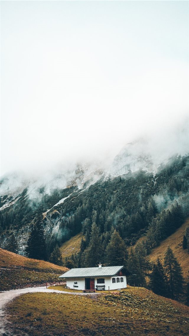 1080x1920 white and gray structure - forest iPhone 8 Wallpaper