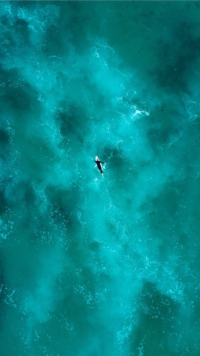 1080x1920 man surfing during daytime - fish iPhone 8 Wallpaper