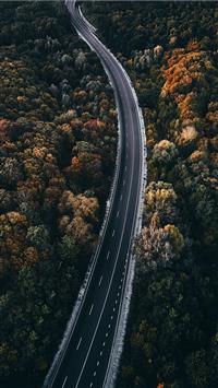 aerial photography of road between trees wallpaper