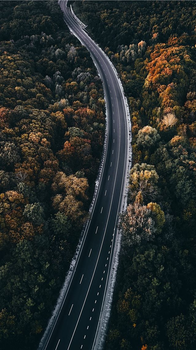 1080x1920 aerial photography of road between trees - ukraine iPhone 8 Wallpaper
