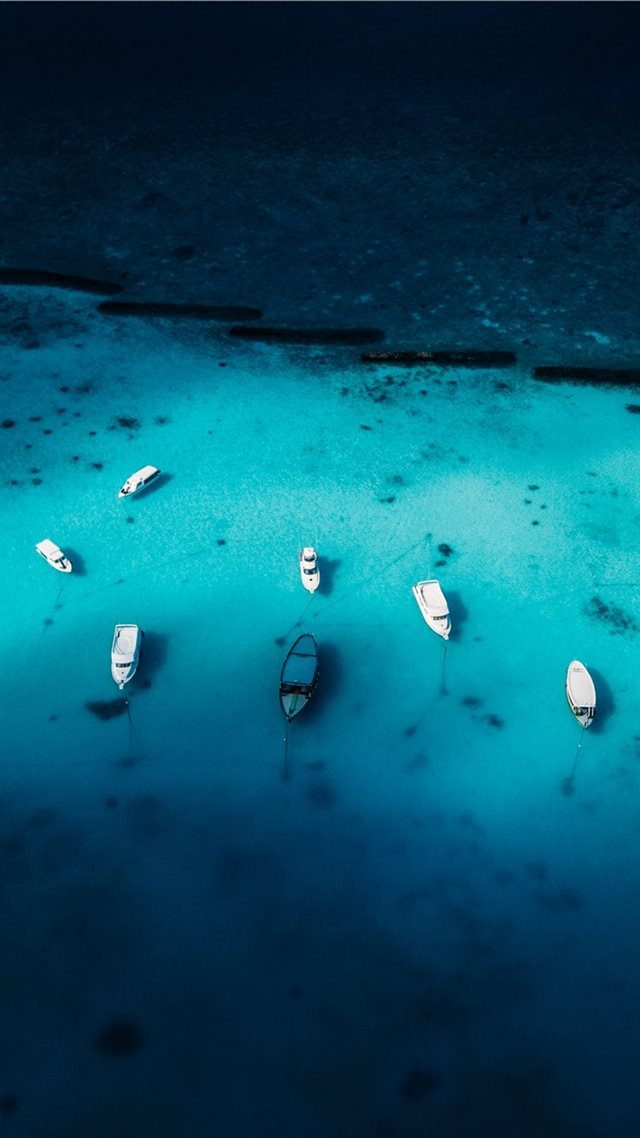 1080x1920 aerial view photography of boat on body of water - animal iPhone 8 Wallpaper