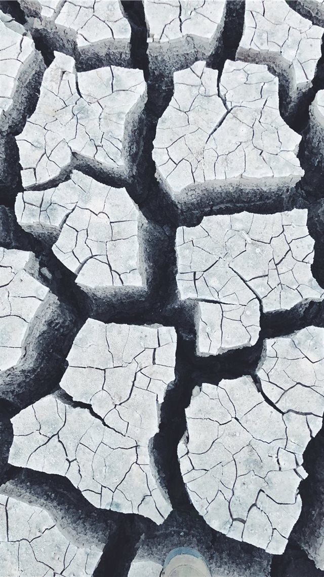 1080x1920 It s been a long time without rain in Arizona I to... - tree iPhone 8 Wallpaper