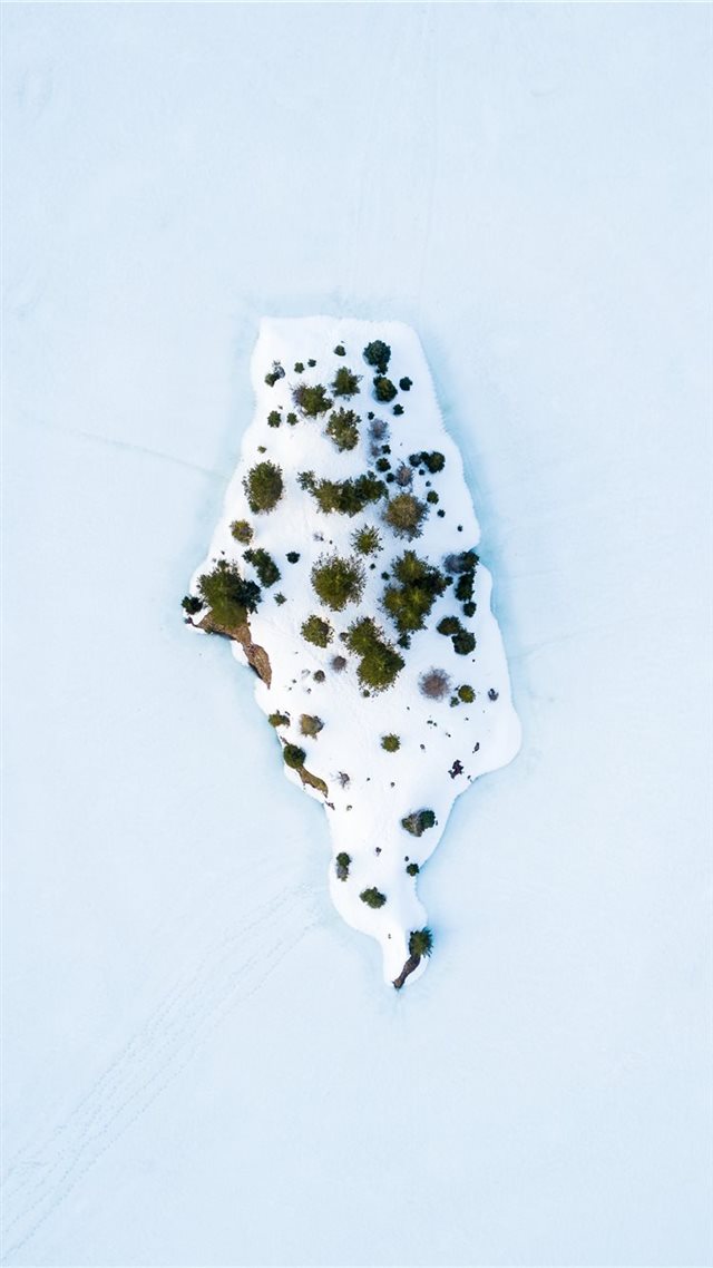 1080x1920 green plant on white paint - winter iPhone 8 Wallpaper
