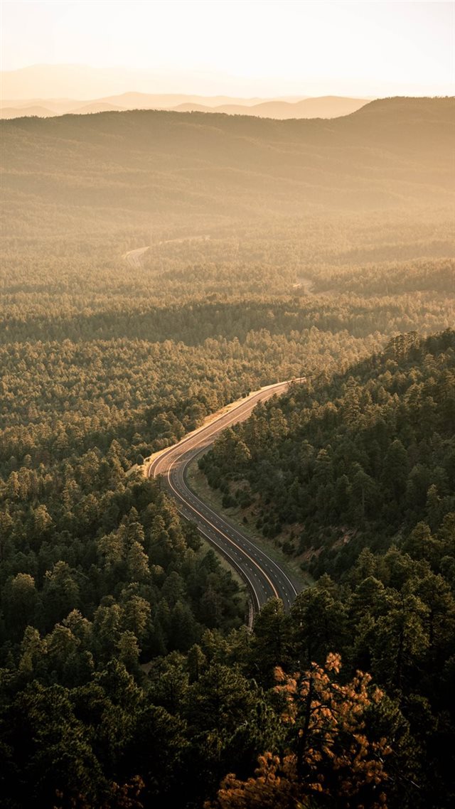 1080x1920 aerial view of green trees during daytime - mountain iPhone 8 Wallpaper