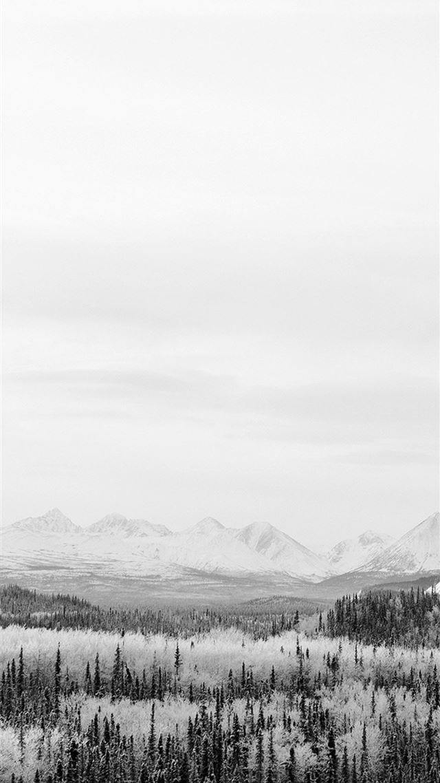 1080x1920 Winter Mountain Wood Nature Snow Bw -  iPhone 8 Wallpaper