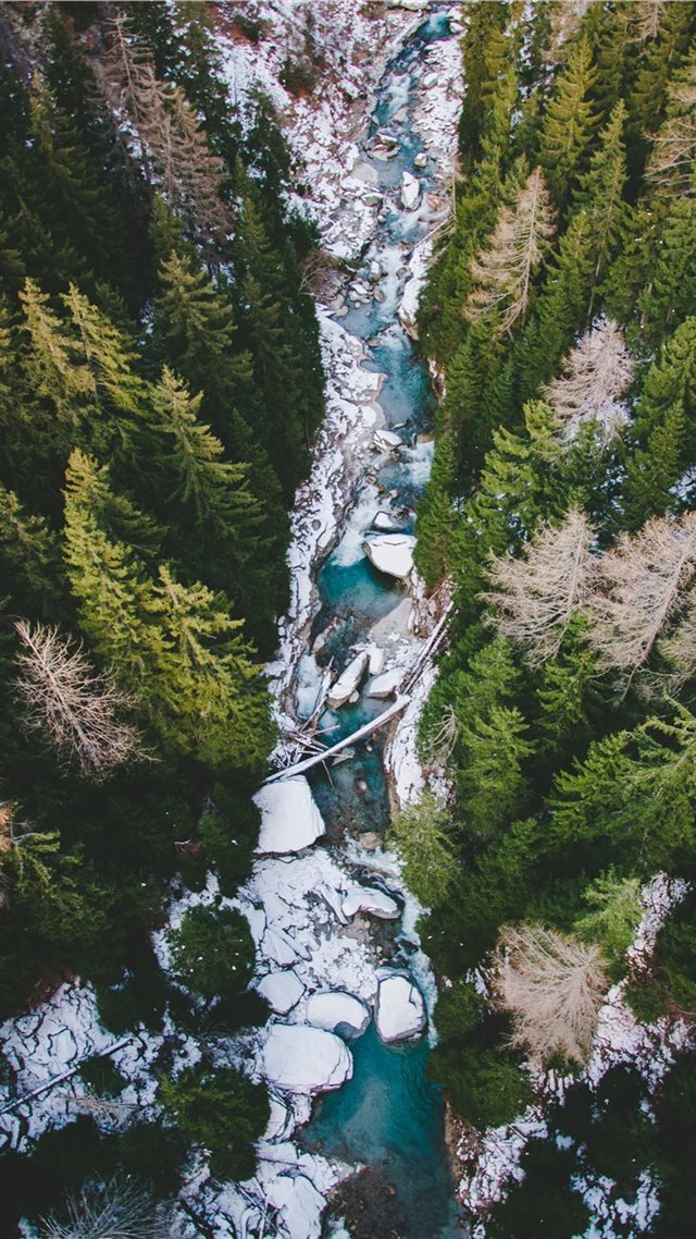 1080x1920 aerial photography of body of water between pine t... - winter iPhone 8 Wallpaper
