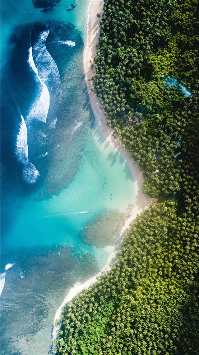 1080x1920 body of water near trees at daytime - ocean iPhone 8 Wallpaper