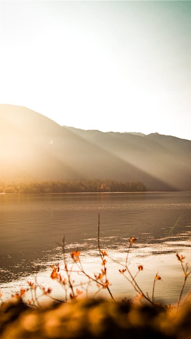 1080x1920 body of water near mountain - grass iPhone 8 Wallpaper