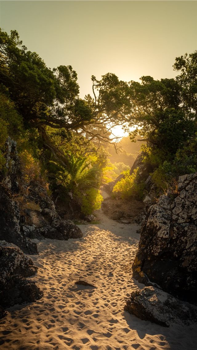 1080x1920 landscape photo of black boulder rocks and plants - ocean iPhone 8 Wallpaper