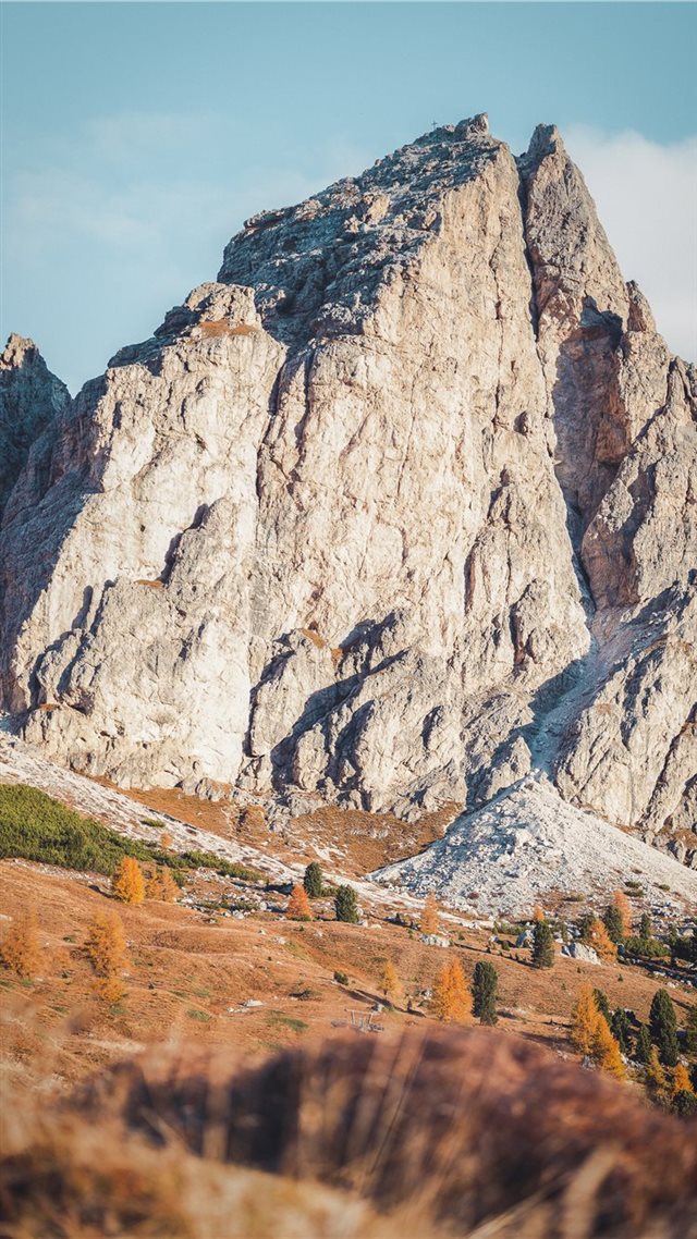 1080x1920 selective focus photography of rock formatio - animal iPhone 8 Wallpaper