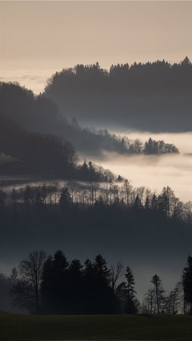 1080x1920 green trees on mountain during daytime - tree iPhone 8 Wallpaper