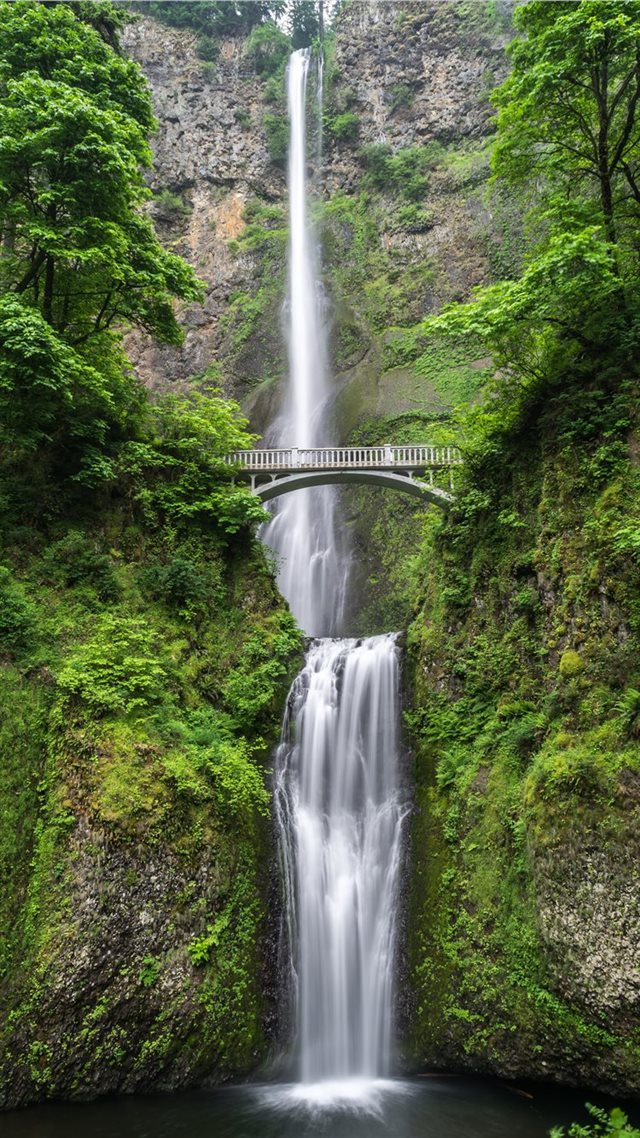 1080x1920 gray concrete bridge and waterfalls during daytime - forest iPhone 8 Wallpaper