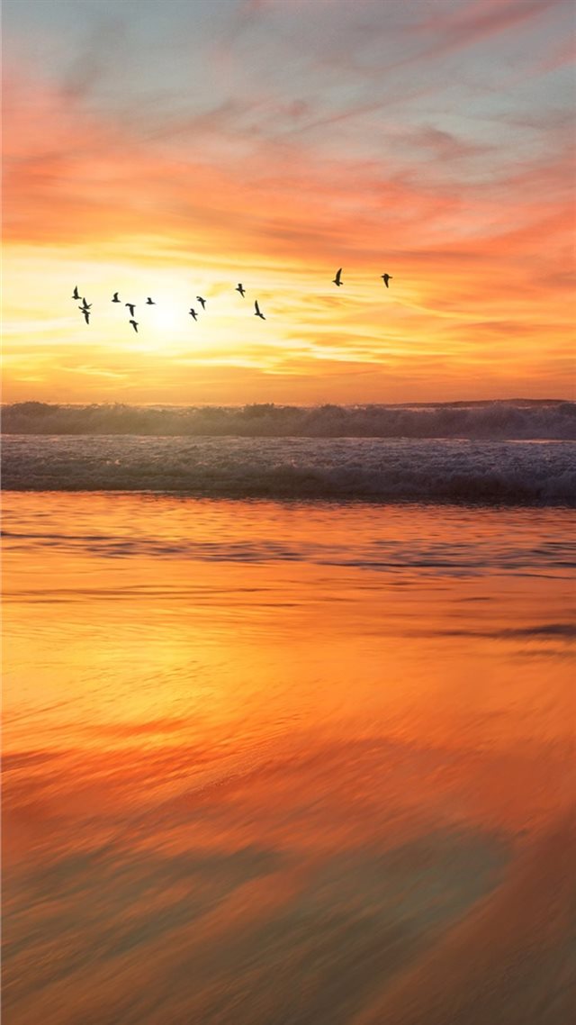 1080x1920 iPhone - trends iPhone 8 Wallpaper