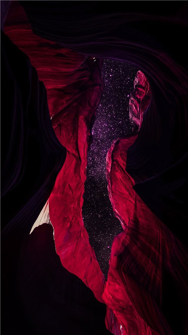 1080x1920 red flower illustration -  iPhone 8 Wallpaper