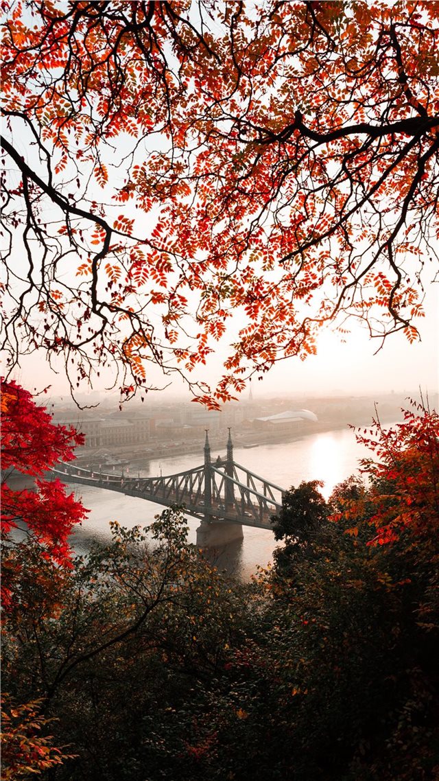 1080x1920 landscape photography of gray concrete bridge - budapest iPhone 8 Wallpaper