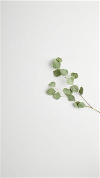 greeb leads wallpaper