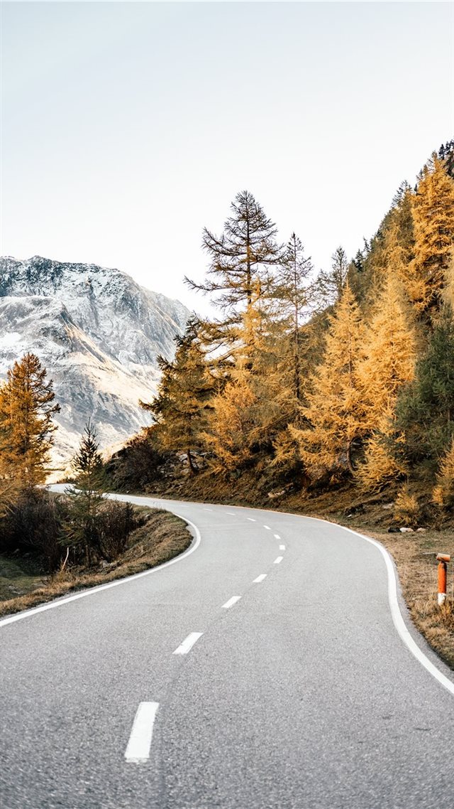 1080x1920 winding road near mountains and forest during dayt... - fall iPhone 8 Wallpaper