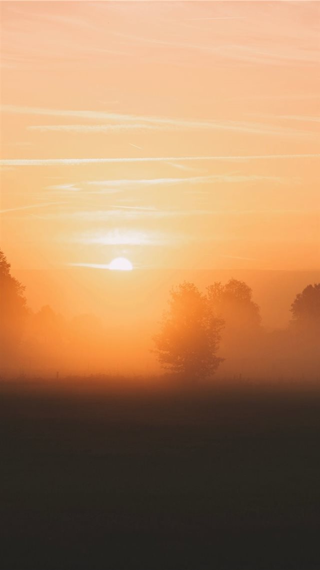 1080x1920 golden hour - sun iPhone 8 Wallpaper