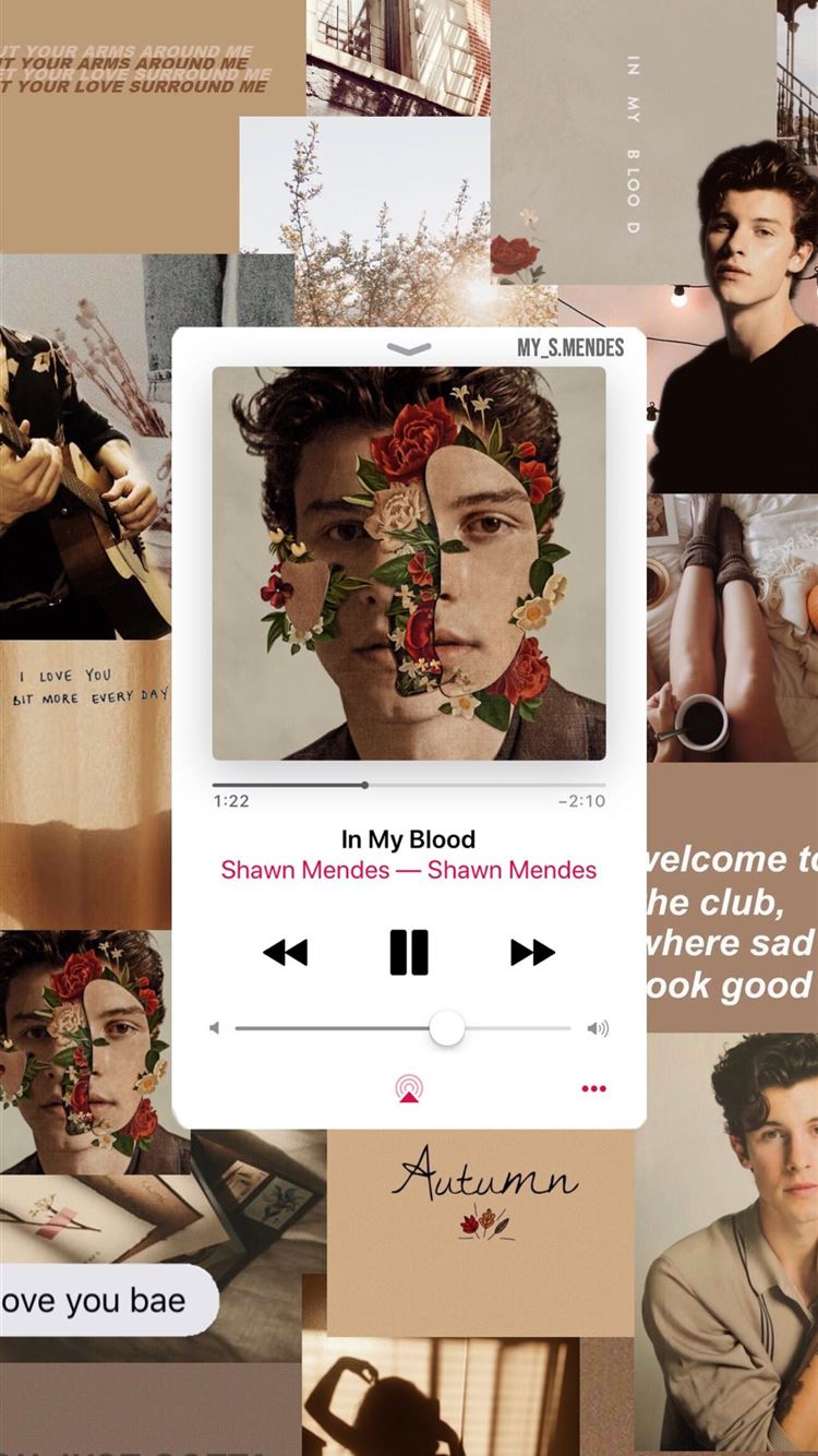 241 Best SHAWN MENDES ❤ images 6/7/8 wallpaper.