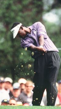 Why mayhem a sensational leader board and Tiger Wo... wallpaper