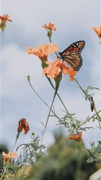 Ope Free Door County Wisconsin – Sarah Styles Blo... wallpaper