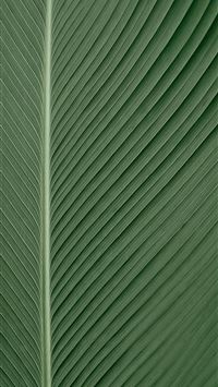 green and white striped textile wallpaper