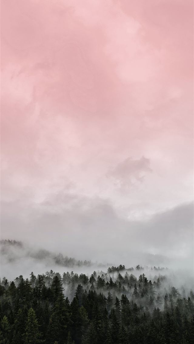 1080x1920 green trees under white clouds during daytime - fire iPhone 8 Wallpaper