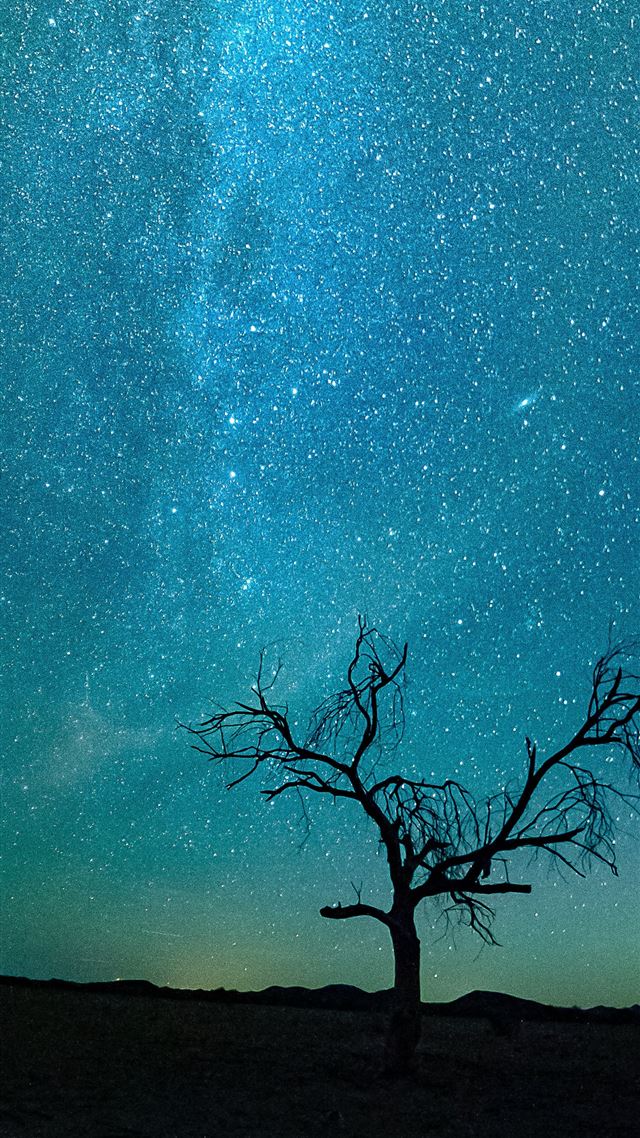 1080x1920 bare tree under starry night - outer space iPhone 8 Wallpaper