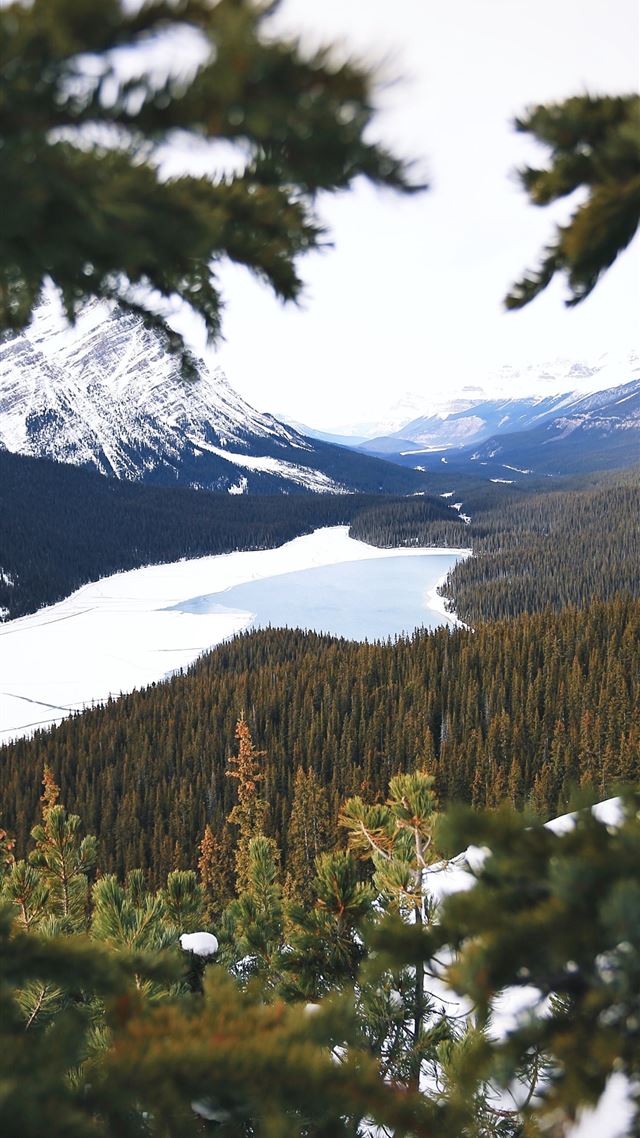 1080x1920 lake between mountains with pine trees - forest iPhone 8 Wallpaper