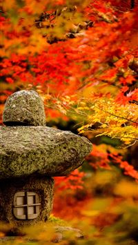 Sagano Bamboo Forest wallpaper