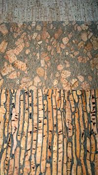 Sagano Bamboo Forest wallpaper