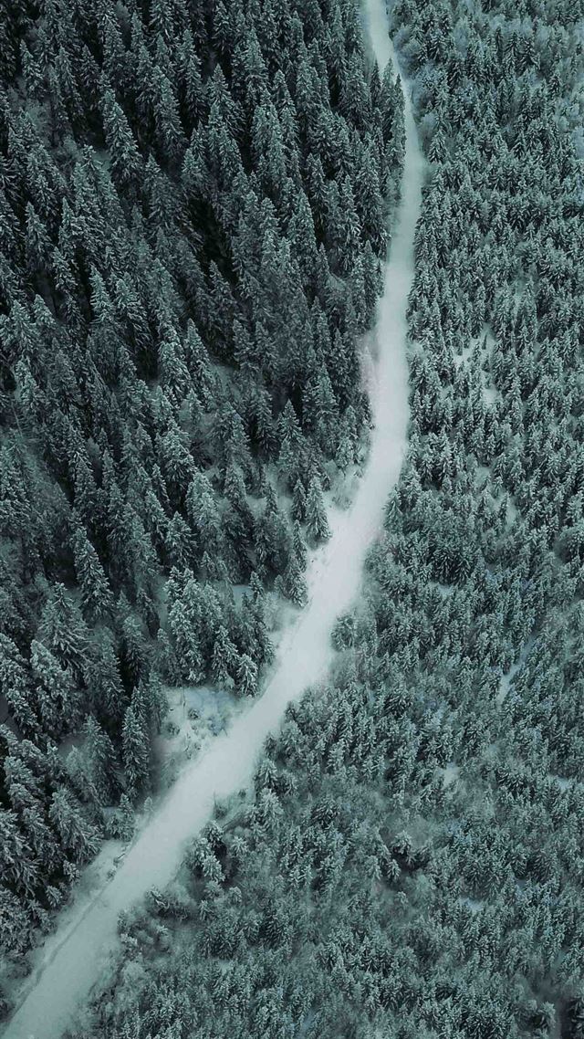 1080x1920 aerial photography of a pathway between trees - water iPhone 8 Wallpaper