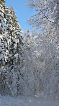 Freudenberg wallpaper